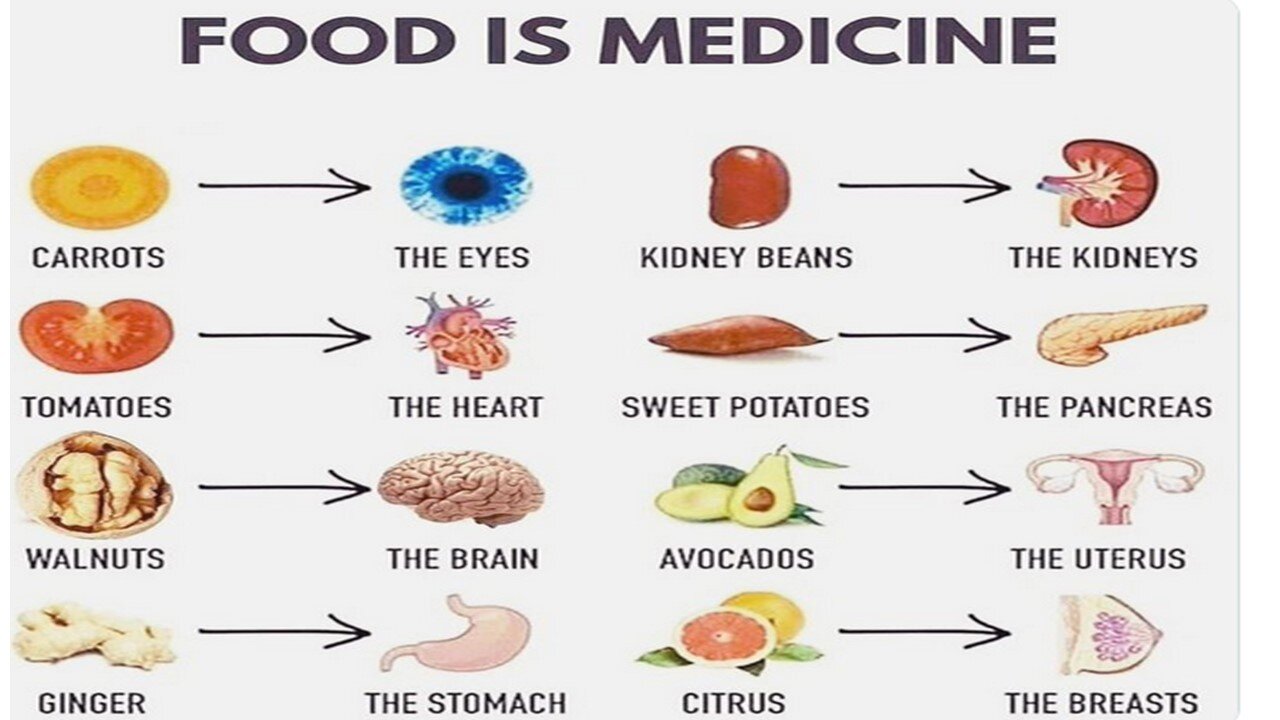 Food is Medicine - Shapes of foods and their benefits to organs