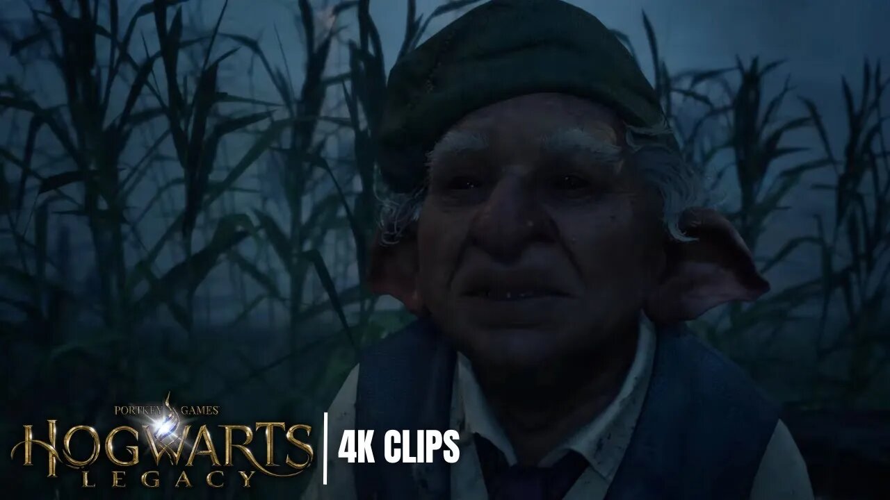 Meeting Arn in Lower Hogsfield | Hogwarts Legacy 4K Clips