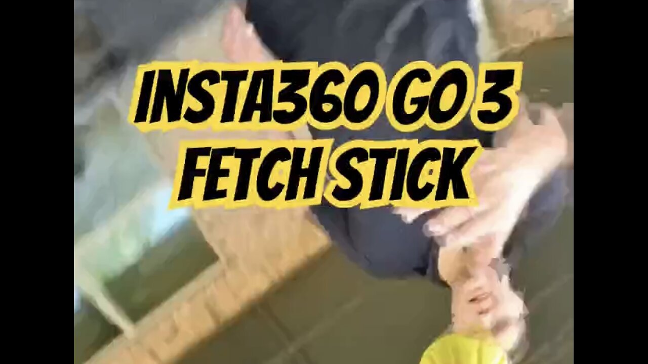 Insta360 Go 3 Fetch Stick x Dachshund