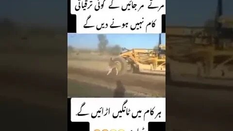 2023 ki best video new work