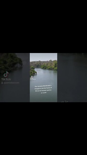 Life in the Amazon! #funfacts