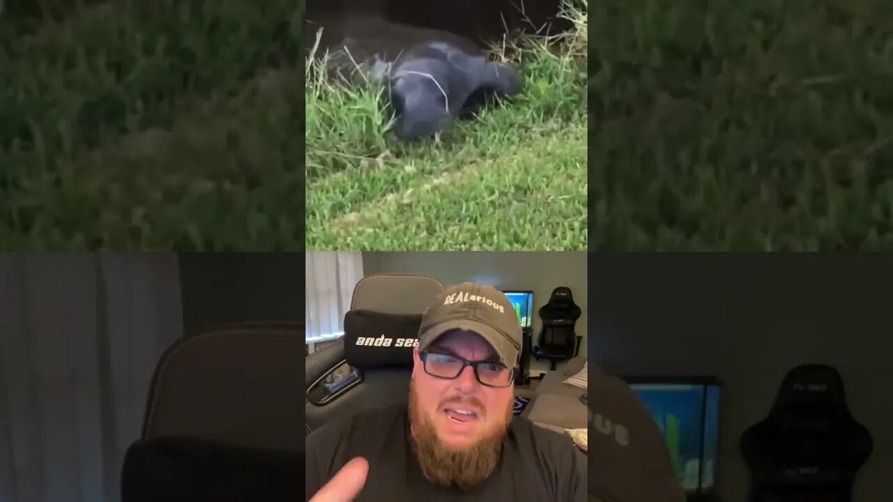 Here’s Your Dose of REALarious…🤣🤣🤣 with @omgitswicks