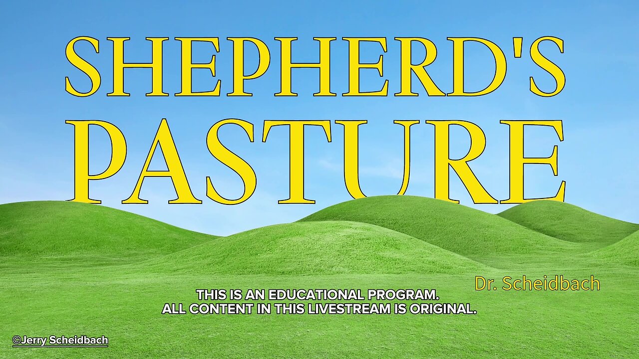 My Shepherd’s Pasture: Move In the Direction of Light