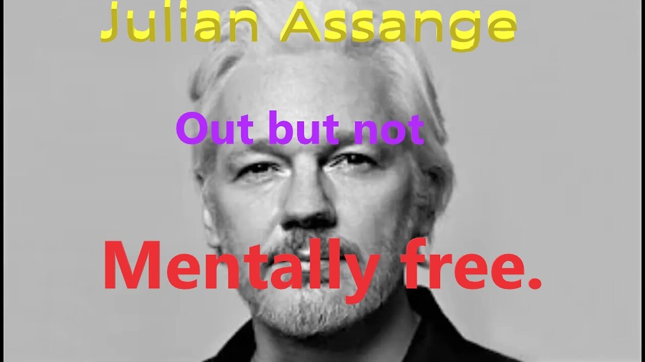 Julian Assange Speaks at the Council of Europe.