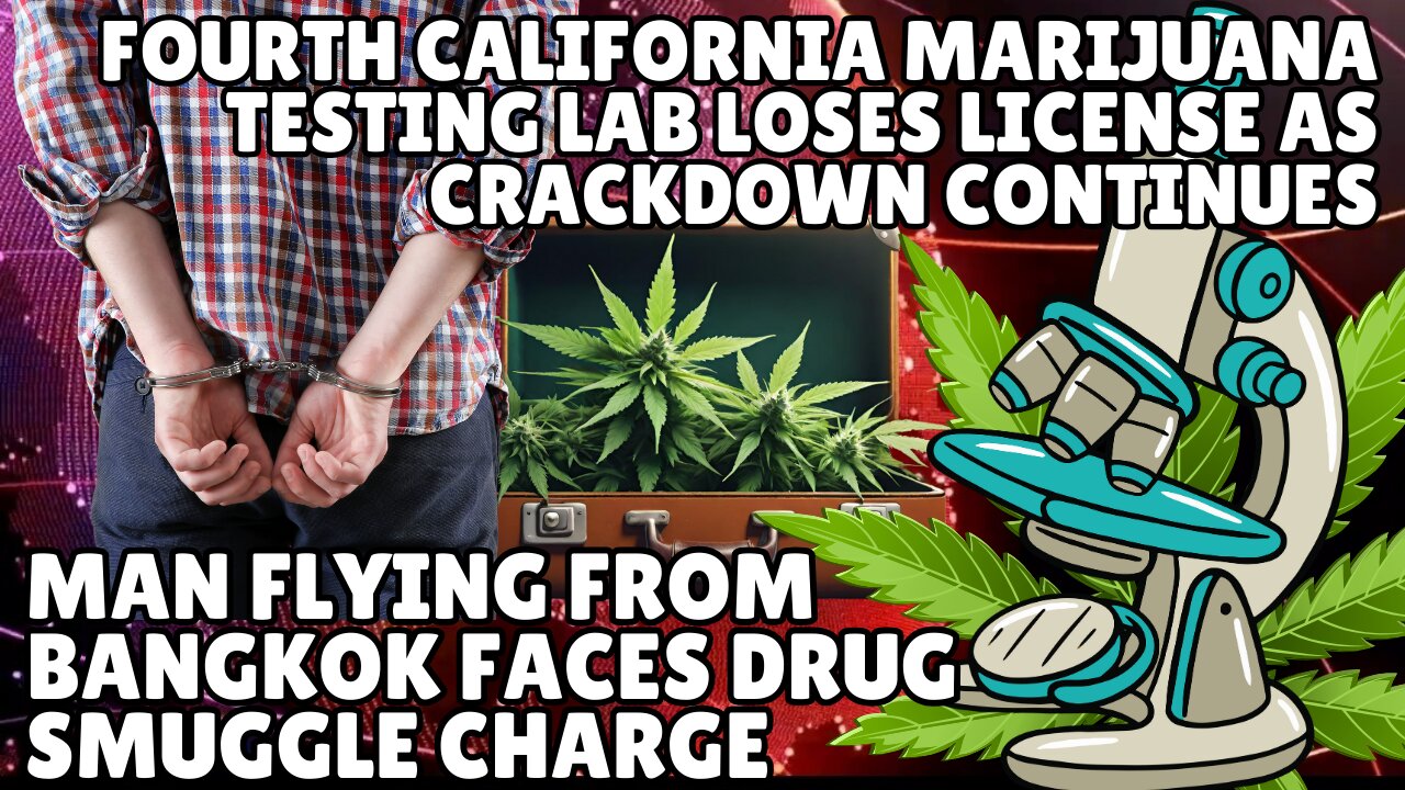 California Shuts Down 4th Marijuana Lab | Cannabis & Psychedelic Use Hits Record Highs