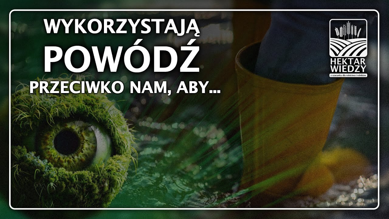 WYKORZYSTAJĄ POWÓDŹ PRZECIWKO NAM, ABY...