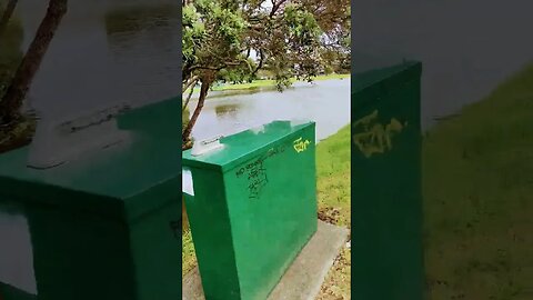 flooded gravestones in Auckland