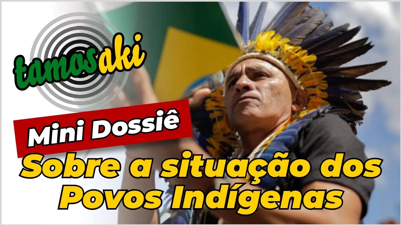 Mini Dossiê sobre a situação dos Povos Indígenas #Brasil #PaulaMarisa #Yanomami