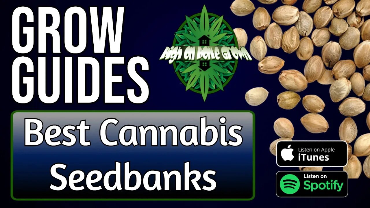 Best Cannabis Seedbanks | Grow Guides Episode 5