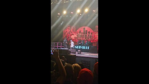 fan onstage limp bizkit full nelson