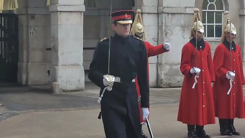 4oclock inspection January 23 #horseguardsparade