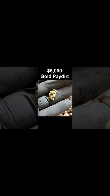 $5,000.00 Gold Paydirt