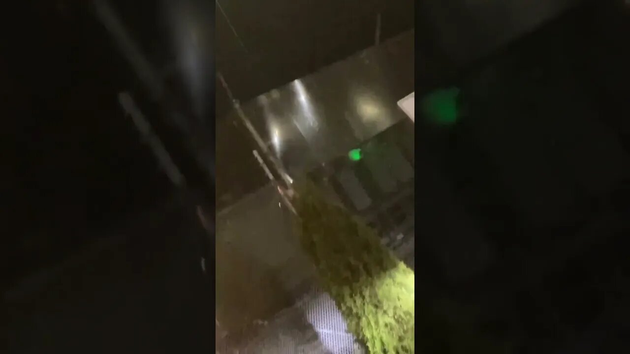 Será que é real? 🤔👽