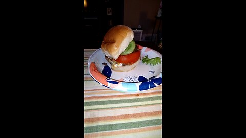 Eating Hamburger From Walmart, Dbn , MI, 10/4/24