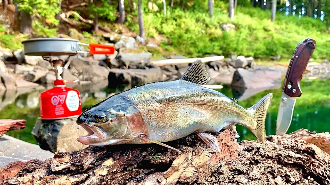 GIANT TROUT Fishing in the MOUNTAINS!!! SOLO Backpacking! (Catch, Cook, Camp pt.2)