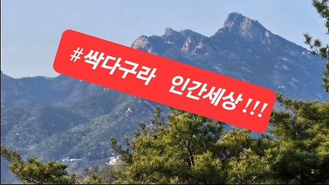 240504...정치인 말은 #싹다구라 !!!