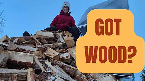 Free Chicken Feed | Homegrown Xmas Tree | Firewood Emergency Storage - Vlog 8