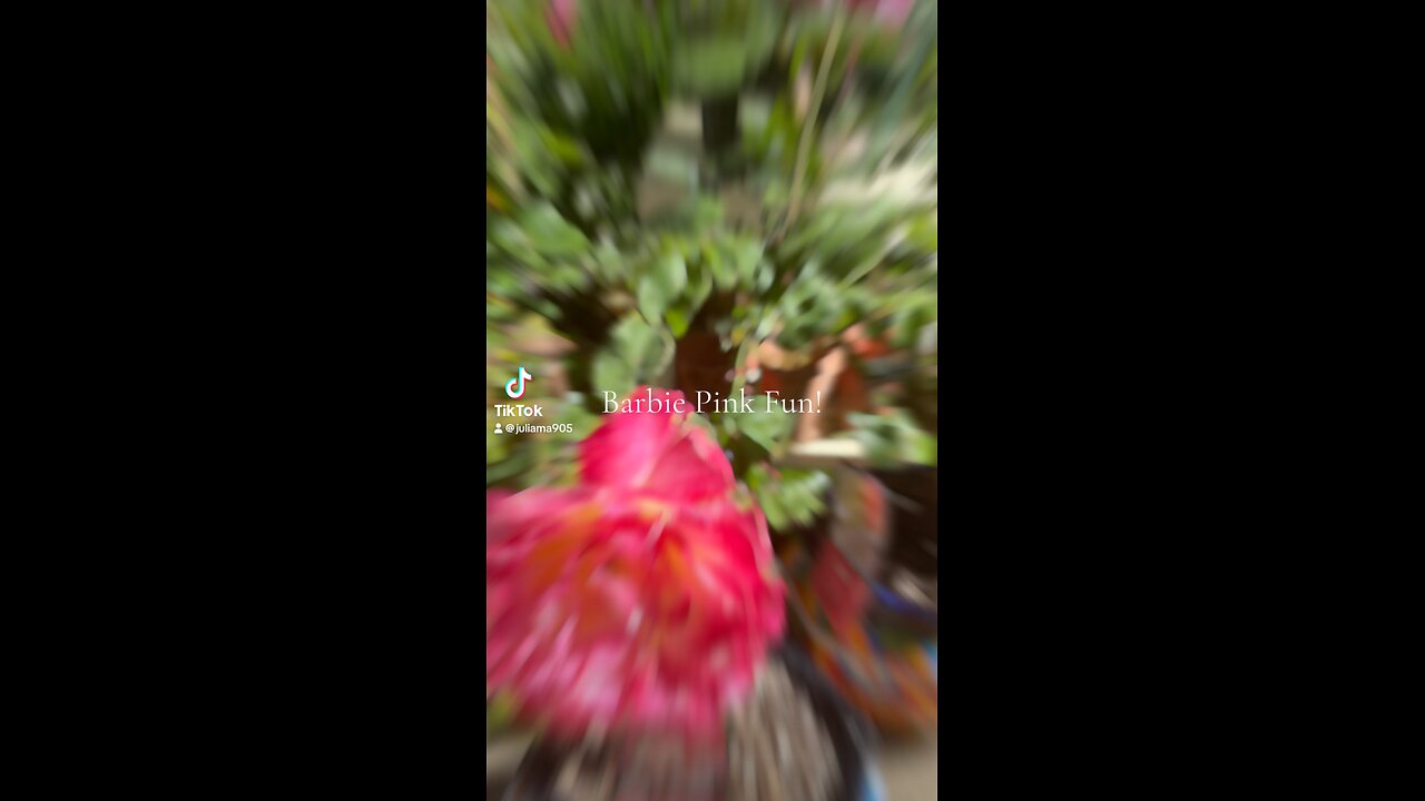 Barbie Pink Rose LA US