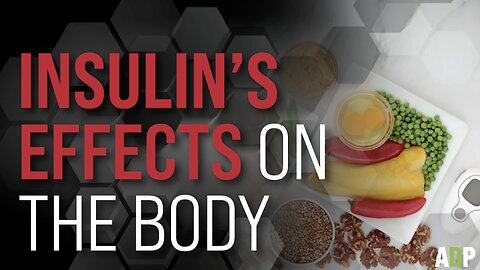 INSULIN EFFECTS ON YOUR BODY