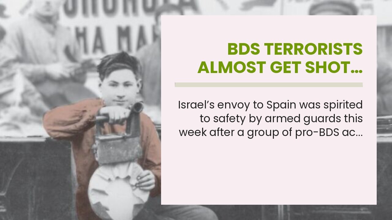 BDS terrorists almost get shot…