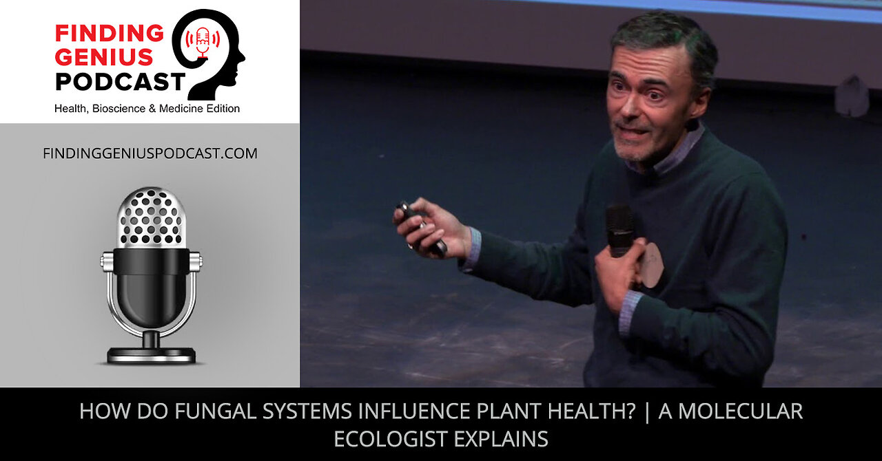 How Do Fungal Systems Influence Plant Health? | A Molecular Ecologist Explains