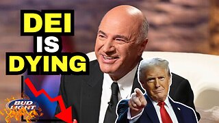 KEVIN O'LEARY Says DEI Is On The Way OUT And Here's Why!