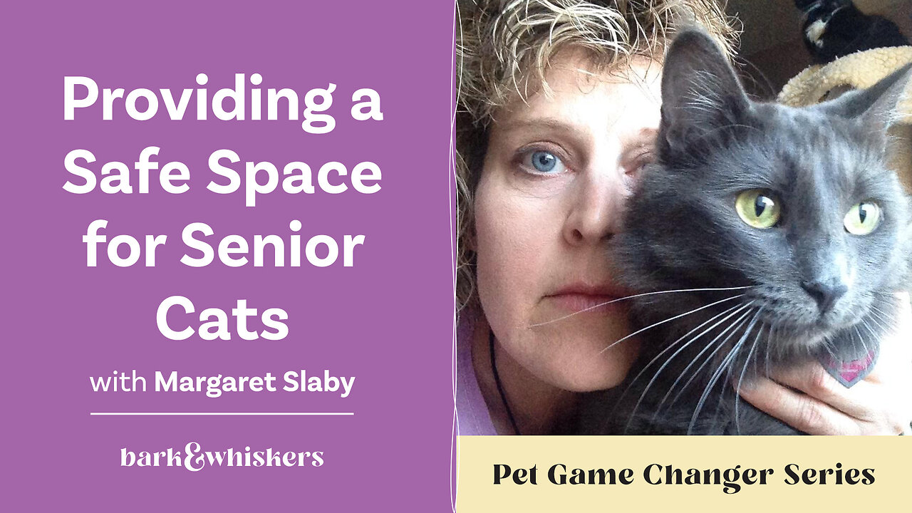 Providing a Safe Space for Senior Cats With Margaret Slaby