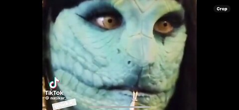 These Are The Features I Believe Are Like My Other Reptilian Videos