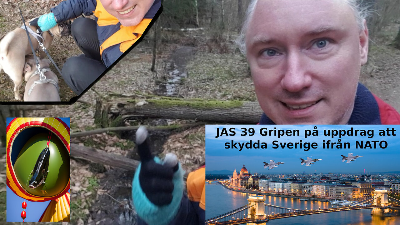Hur bygga spionballonger, Nato-motstånd, biovapenmotgift, AIn, benmärg, ål-vänliga turbiner
