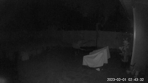 Nightly Visitor