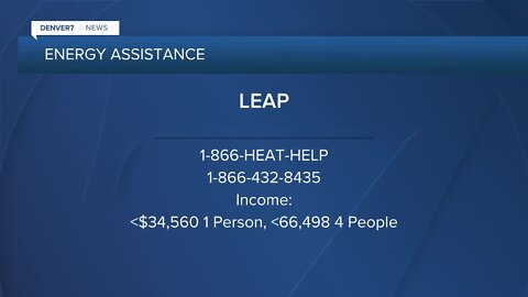 LEAP applications up 15% this year