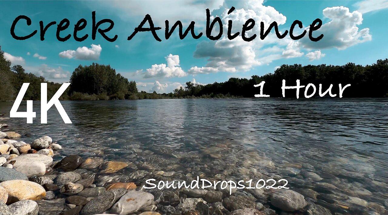 1 Hour Creek Meditation: Deep Relaxation with Water Sounds