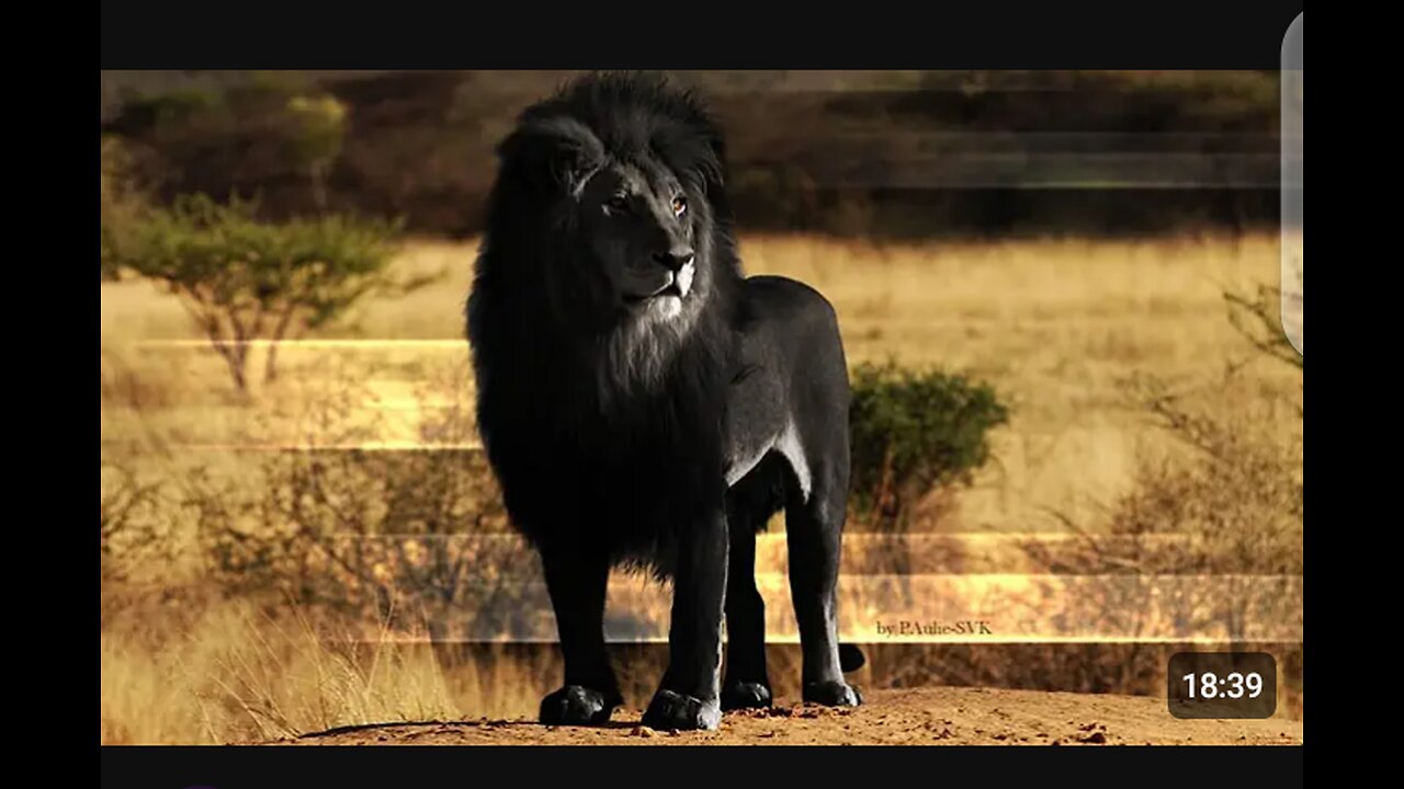 15 scary hybrid animals that Actually exist