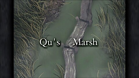 Final Fantasy IX - CD 01 - Qu's Marsh #6