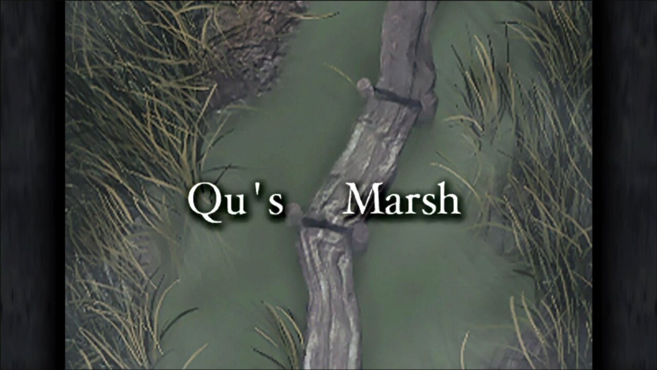 Final Fantasy IX - CD 01 - Qu's Marsh #6