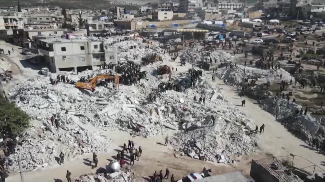 Syrian Buffalo family holds on hope