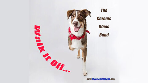 Walk It Off a Chronic Blues Band Original Song