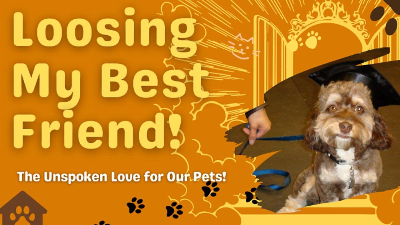 Losing My Best Friend: The Unspoken Love for Our Pets