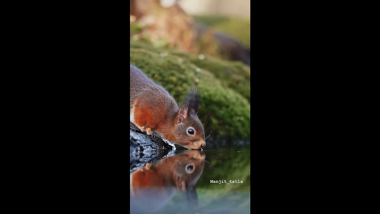 My little thirsty friend 💧💦❤️