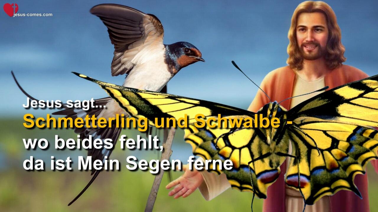 Schmetterling und Schwalbe... Wo beides fehlt, da ist Mein Segen ferne ❤️ Schöpfungsgeheimnisse durch Gottfried Mayerhofer