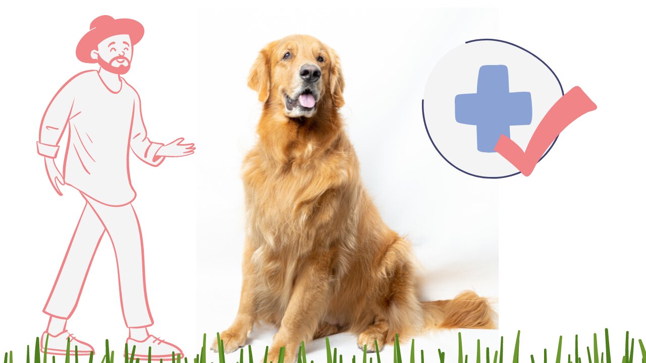vet shares 5 incredible tips for treating fleas from home