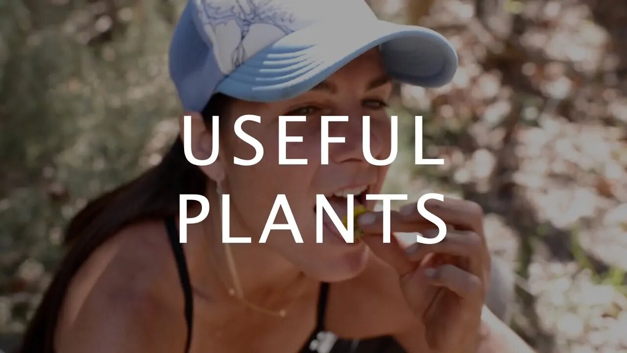 Useful Plants