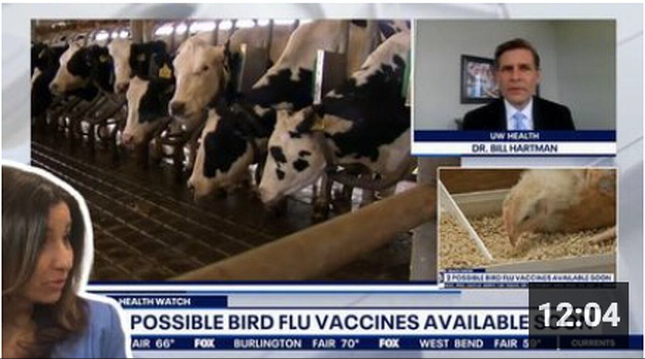 THEY'RE SETTING UP THE NEXT ONE - AVIAN, COW, SQUIRREL, BADGER FLU?