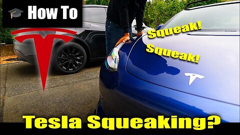 🎓 What To Do If Your Tesla Starts To Squeak | Tesla Model 3 & Y Guide