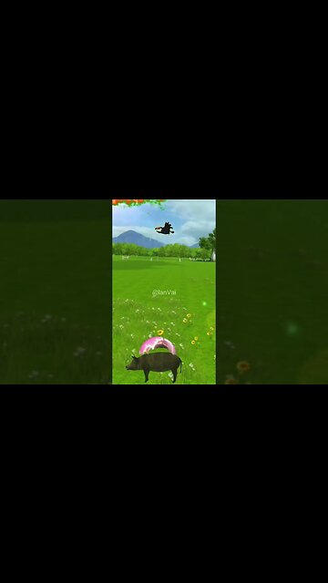 Funny Birds Attack Pigs#shorts #YearofYou