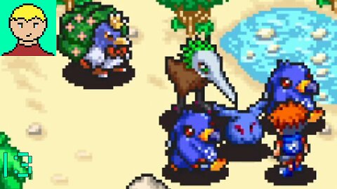 [Flock of irritated birds] Digimon World DS #13