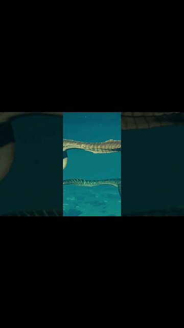 Jurassic World Evolution 2 Trailer Late Creataceous