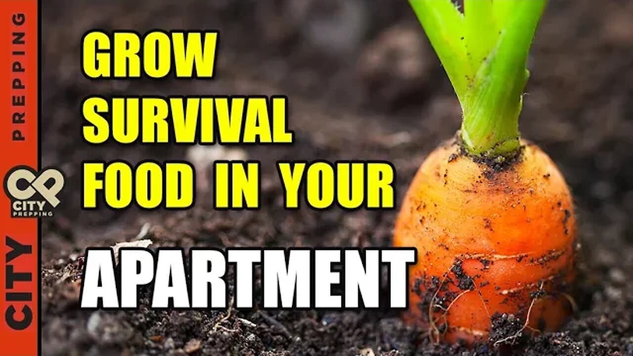 25 Survival Vegetables To Grow In Your Apartment (pt2)