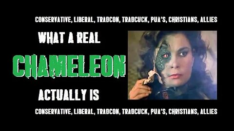 REAL Chameleons .....and how to identify them.