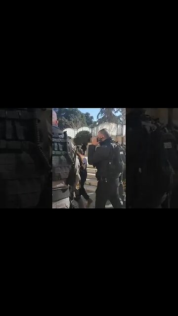 Occupation Arrests Palestinian Activist